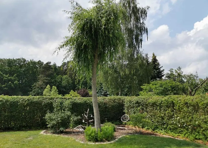 Big Mama_s * Tschernitz